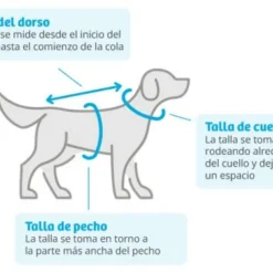 Nayeco Pull Tricoté En Forme D'arbre D'hiver 7 Nayeco Pull Tricoté En Forme D'arbre D'hiver -Trixie Soldes Magasin tallas medidas ropa perro 632c328605a14