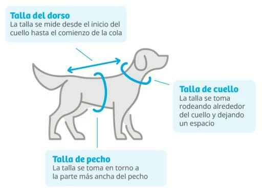 Nayeco Sudadera Reversible Con Capucha Teddy Star 5 Nayeco Sudadera Reversible Con Capucha Teddy Star – Image 3