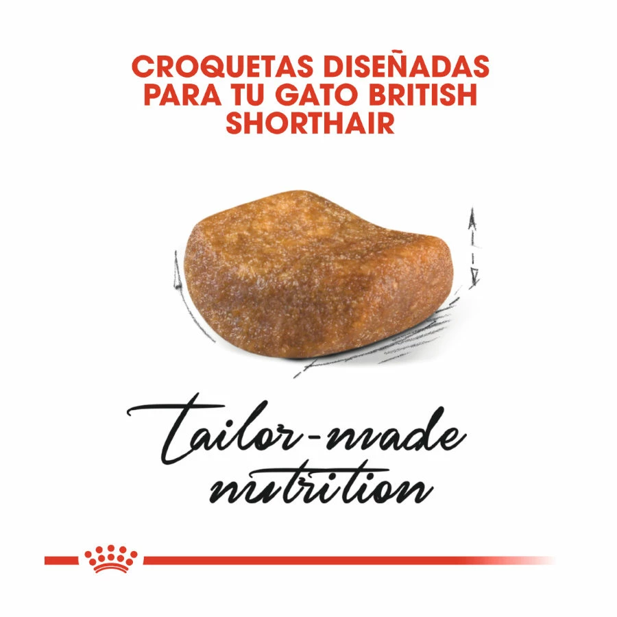 Royal Canin Tourteau British Shorthair 7 Royal Canin Tourteau British Shorthair – Image 5