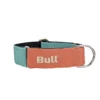 Bull Collier Lévrier Orange-Turquoise -Trixie Soldes Magasin thumbnail COLLAR NARANJA TURQUESA 649ac8fdac2cc