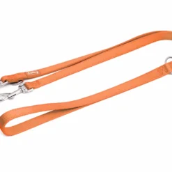 Freedog Laisse Multi Positions Basic Poignée Dressage En Nylon Turquoise -Trixie Soldes Magasin tirador adiestramiento nylon 1 2 scaled