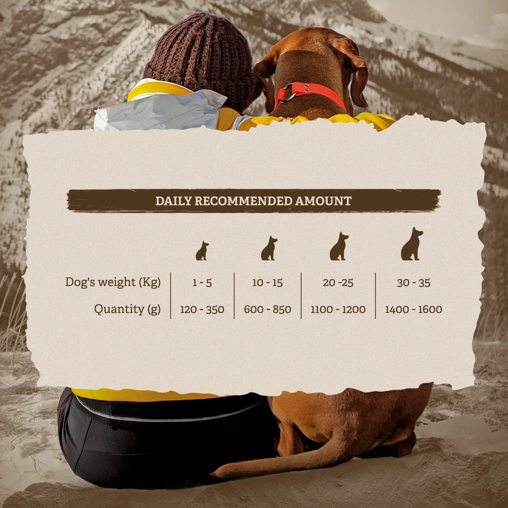 Traveness Multipack Adult Duck, Chicken With Pumpkin And Salmon 4 Traveness Multipack Adult Duck, Chicken With Pumpkin And Salmon – Image 2