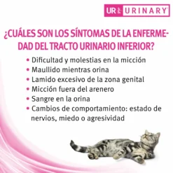Pro Plan Veterinary Diets UR Urinary ST/OX -Trixie Soldes Magasin ur urinary st ox 5 scaled
