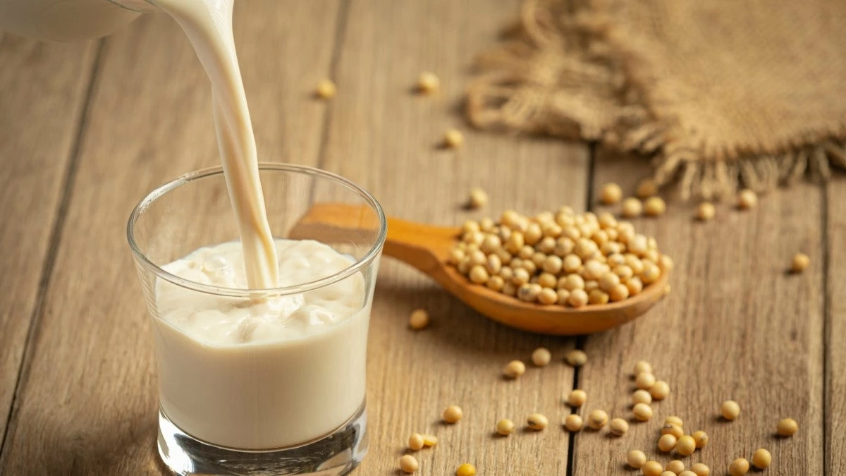 Kit Cat Eco SoyaClump Sable De Confetti 8 Kit Cat Eco SoyaClump Sable De Confetti – Image 6